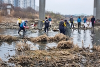 광주 황룡강서 물고기들 폐사·탈진…가뭄 탓 추정