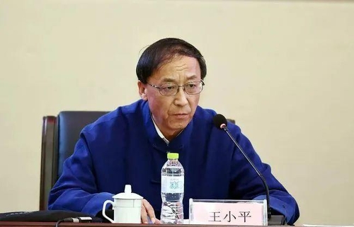 왕샤오핑 중국 축구협회 기율위 주임