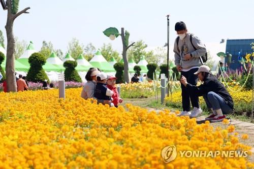 함평나비대축제장