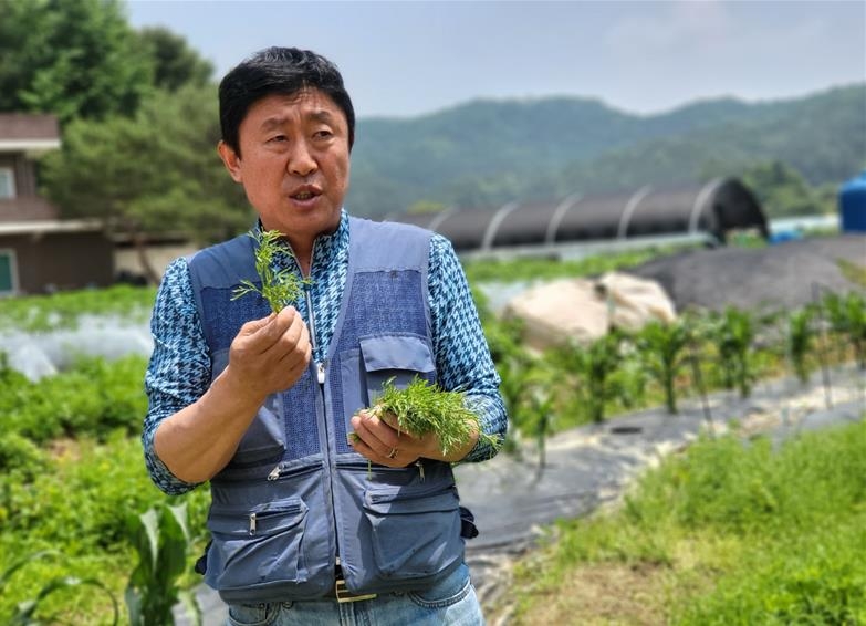 북한 채소 영채를 들고 있는 주경배 목사
