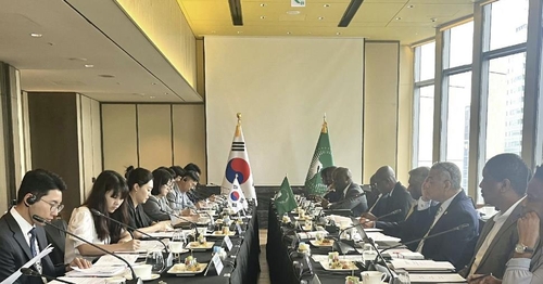 한-아프리카연합 정책협의회…내년 정상회의 개최 논의