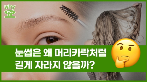  눈썹은 왜 머리카락처럼 길게 자라지 않을까?