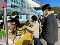 환경·화훼농가 살리는 추모문화 확산…경남도 생화 사용 캠페인