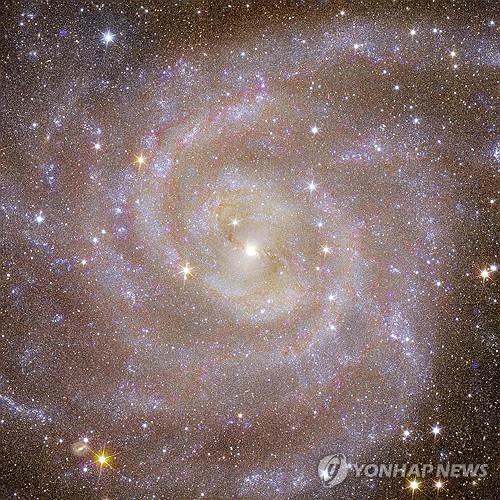 '반짝반짝 빛나는' 유클리드 망원경 첫 우주 사진