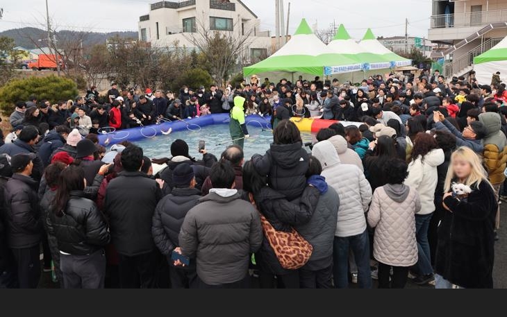 숭어 축제 인파