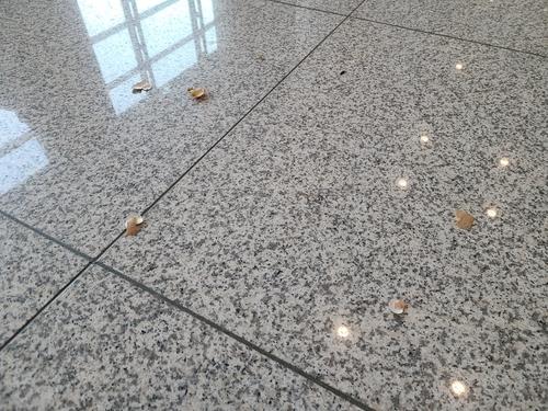 Cascas de ovo cruas caíram no chão