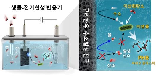 생물전기합성 반응서 구리 해독 반응