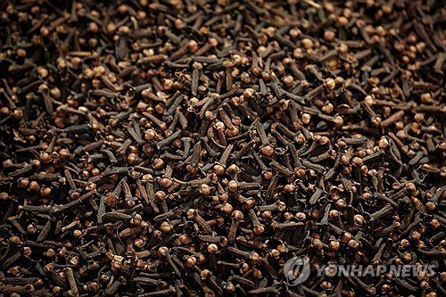 향신료 정향