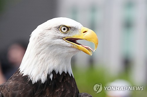 [율곡로] '독수리 워너비' 원정 출산 - 1