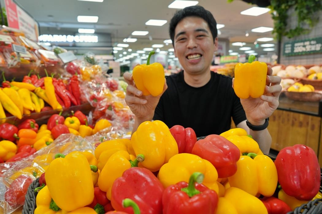 롯데마트, 