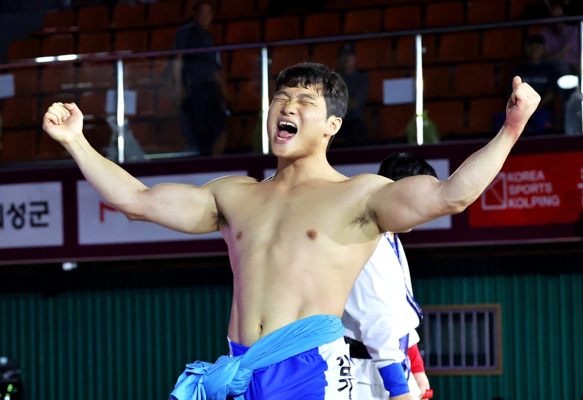 금강장사 김기수