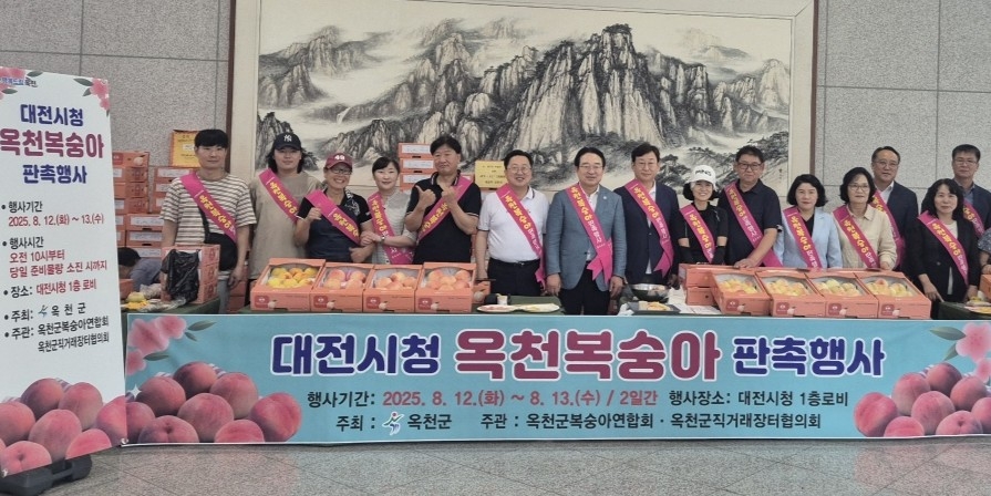대전시청 복숭아 특판
