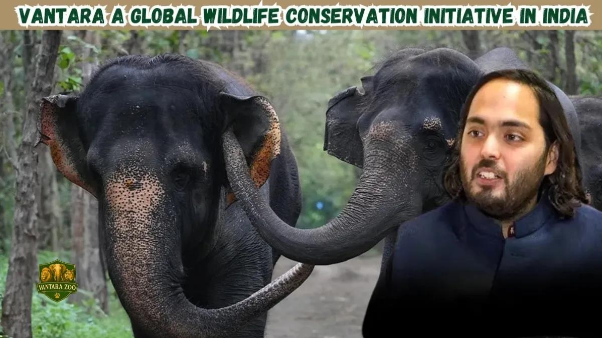 반타라 내 코끼리와 운영자 아난트 암바니