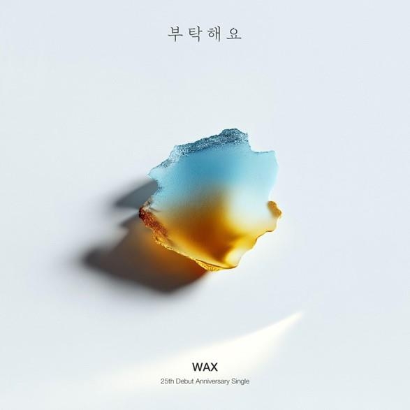 왁스 '부탁해요' 리메이크