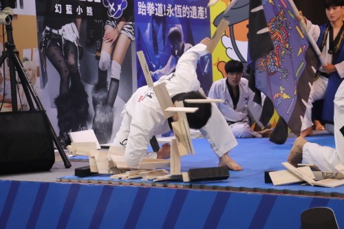 송판 격파하는 한국 태권도 시범단