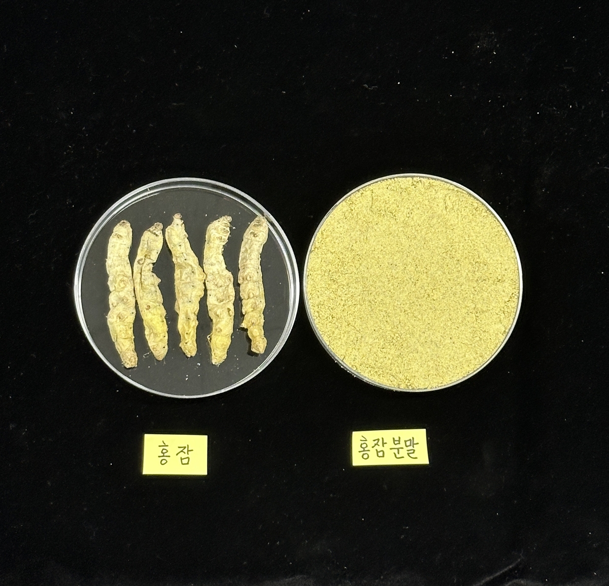 홍잠 ⓒ 농진청 제공