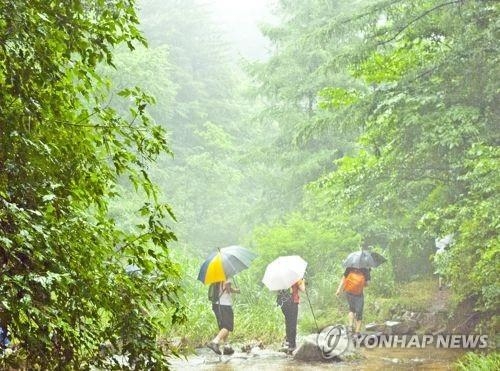 Los surcoreanos realizan 5,5 viajes locales en 2016, un poco más que el año anterior