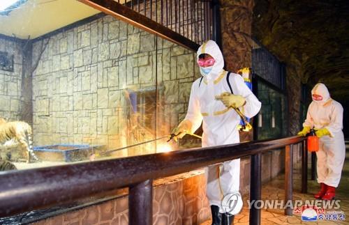 (AMPLIACIÓN) El total de presuntos casos de coronavirus en Corea del Norte supera los 3 millones