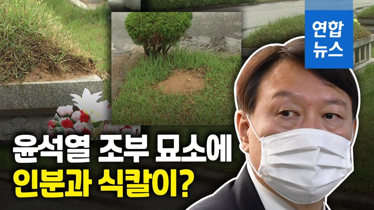 [영상] 윤석열 조부 묘소 훼손? 경찰 "신고도 없고 내사할 상황도 아냐"