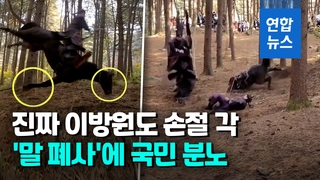 [영상] 낙마씬 찍다 고꾸라져 죽은 말…KBS '학대 촬영' 거센 논란