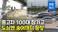 [영상] 330㎜ 물폭탄…한강 거슬러 올라가는 숭어 '펄떡'
