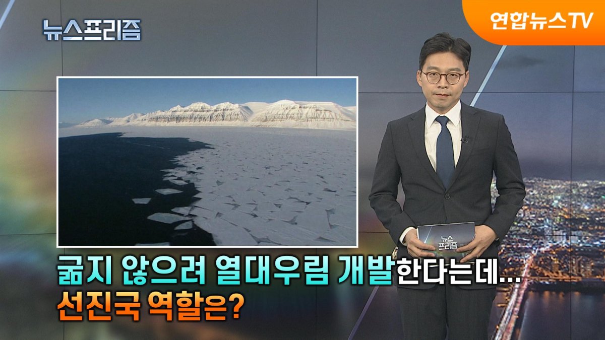 굶지 않으려 열대우림 개발한다는데…선진국 역할은? [탐사보도 뉴스프리즘] | 연합뉴스