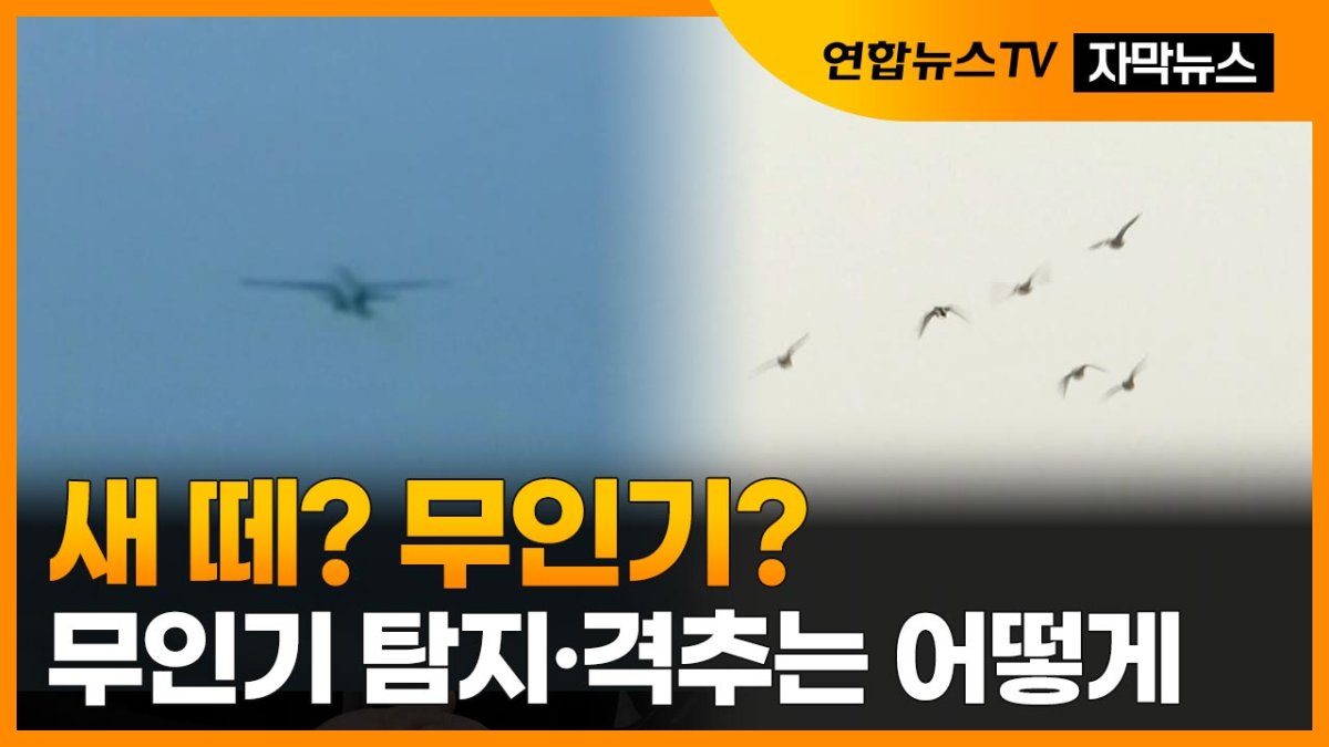 [자막뉴스] '첨단 군사력' 무색케 한 북 무인기 침투…탐지·격추는 어떻게