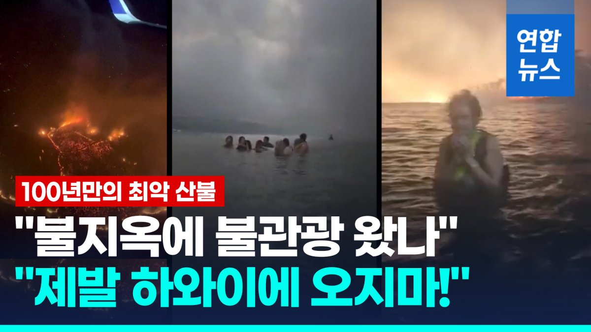 [영상] "사람 숨진 바다서 태연히 수영"…분노한 하와이 "제발, 오지마"