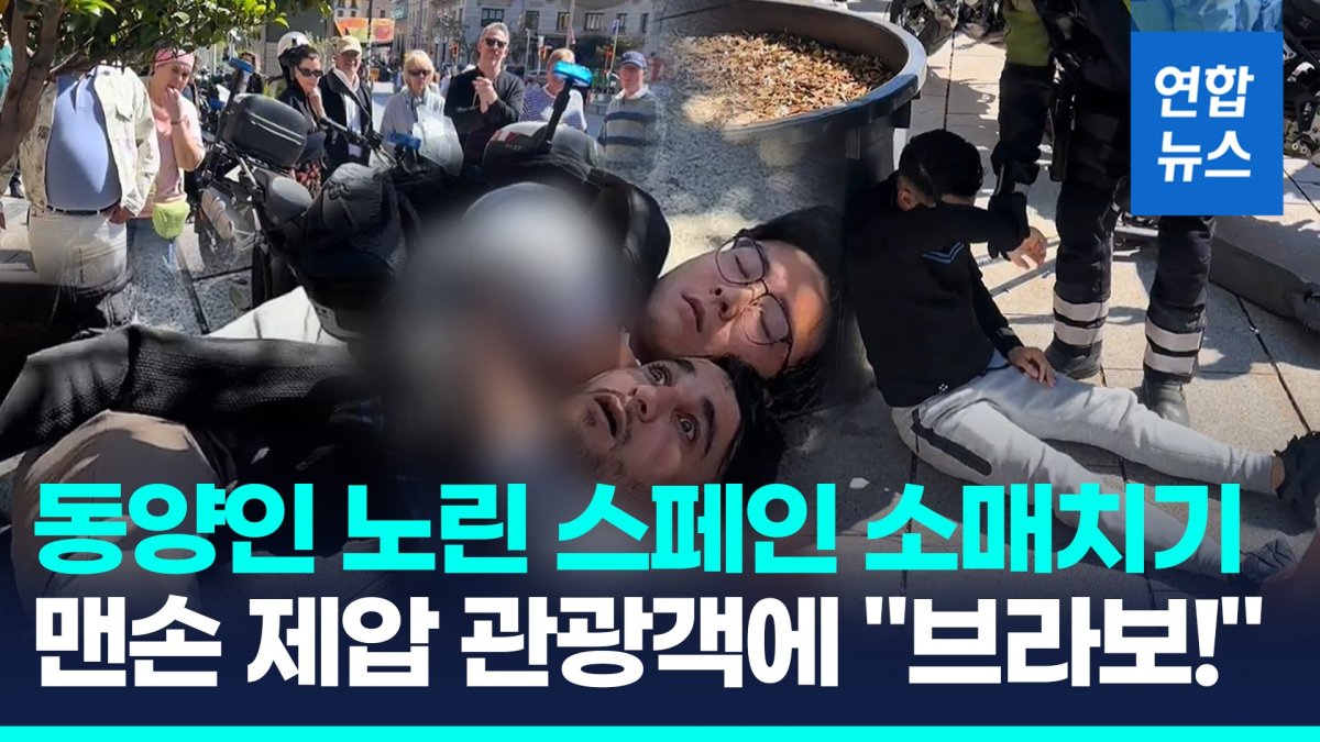 [영상] 동양인 노린 스페인 강도 결국…맨손제압 관광객에 "와! 브라보"