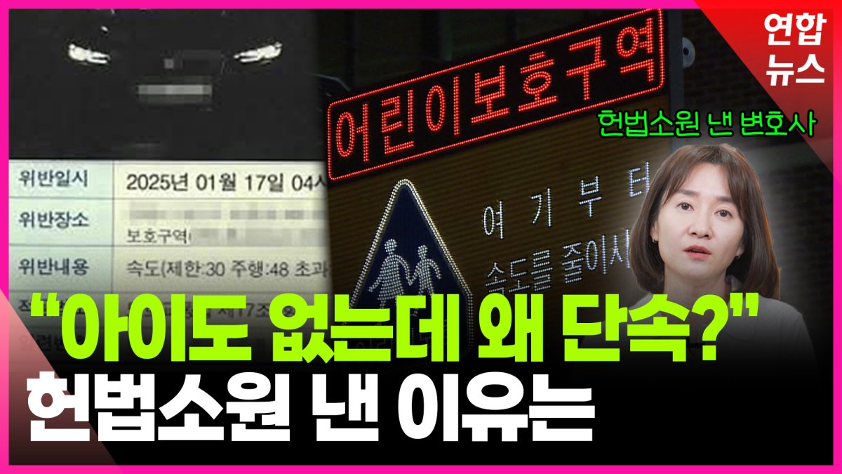 [영상] 헌법소원 제기한 변호사…"24시간 스쿨존은 위헌"
