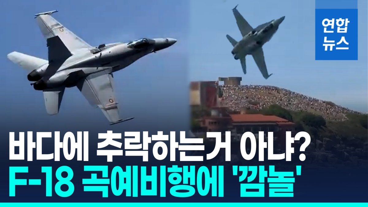 [영상] 스페인 에어쇼 F-18 아찔한 곡예비행…"새 떼 피하려"