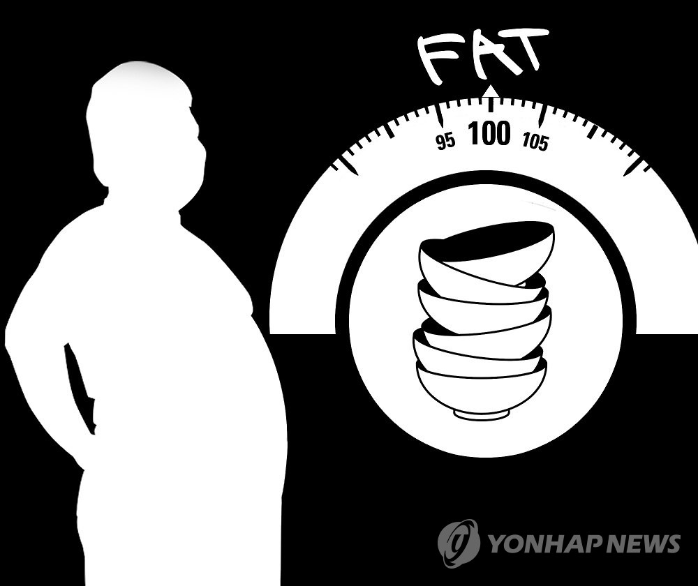 비만 과체중 과식(그래픽)