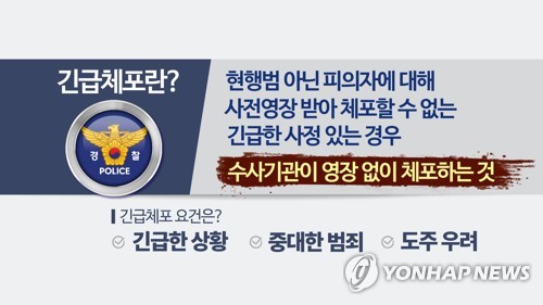 아기 숨지자 선산에 묻은 8년전 사건 친모 '긴급체포' 적절했나(종합)