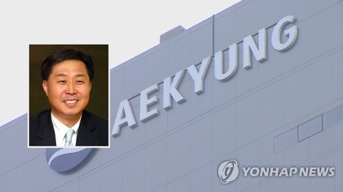 '가습기살균제' 애경산업 前대표 영장 기각…"책임 다툼여지"