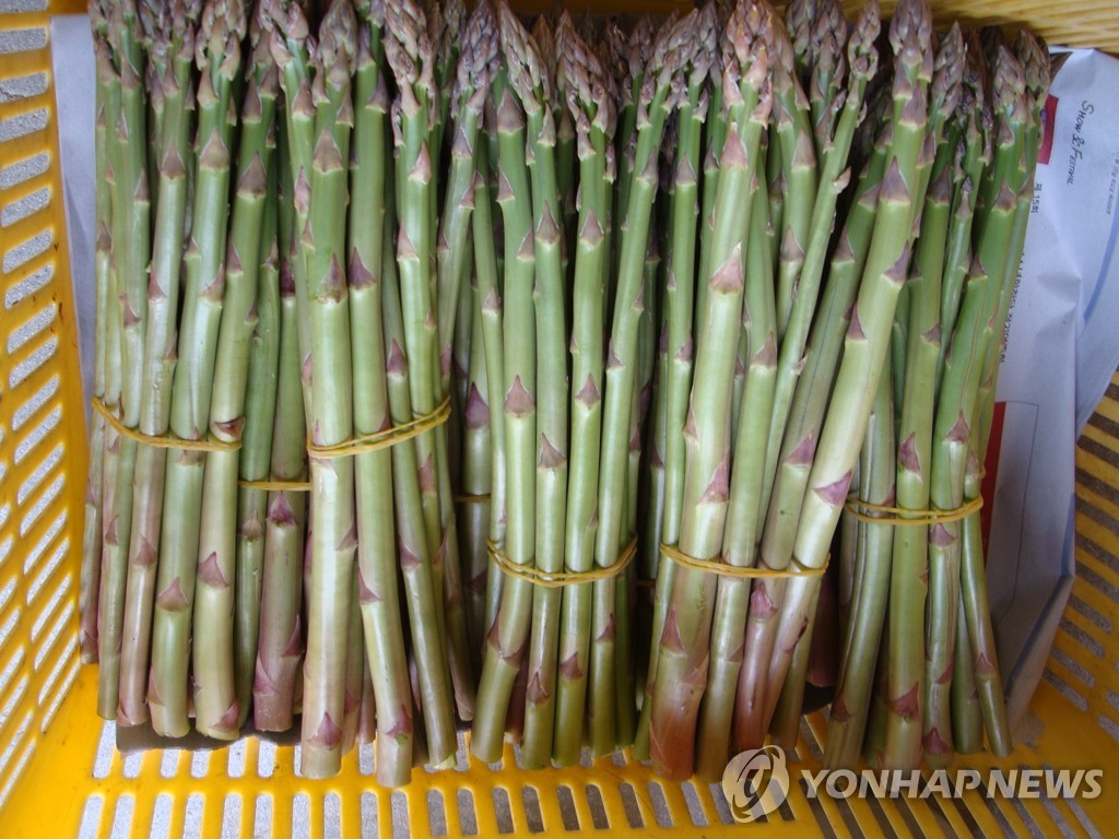 아스파라거스