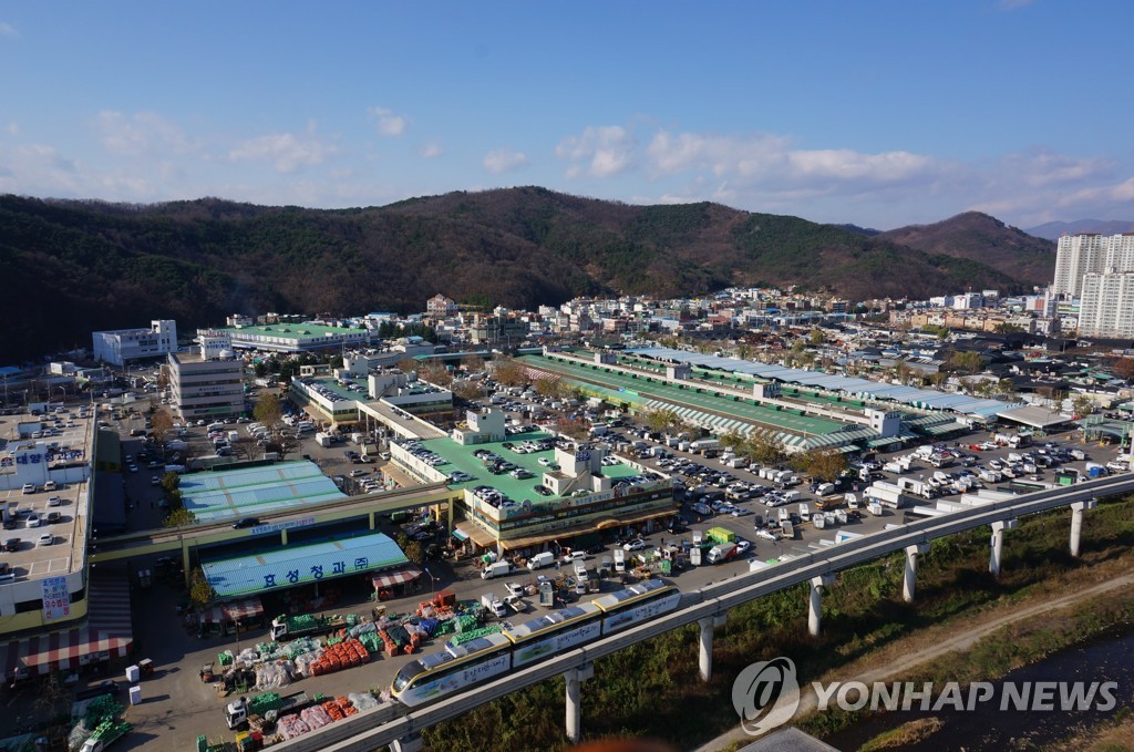 대구농수산물도매시장