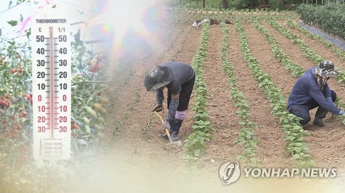 연일 폭염에 온열질환 나흘간 255명…사망자도 어제 하루 7명(종합)