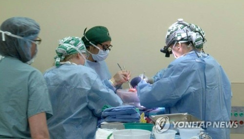 유전자 조작 돼지의 신장을 뇌사자 체내에 이식하는 미국 앨라배마대 의료진