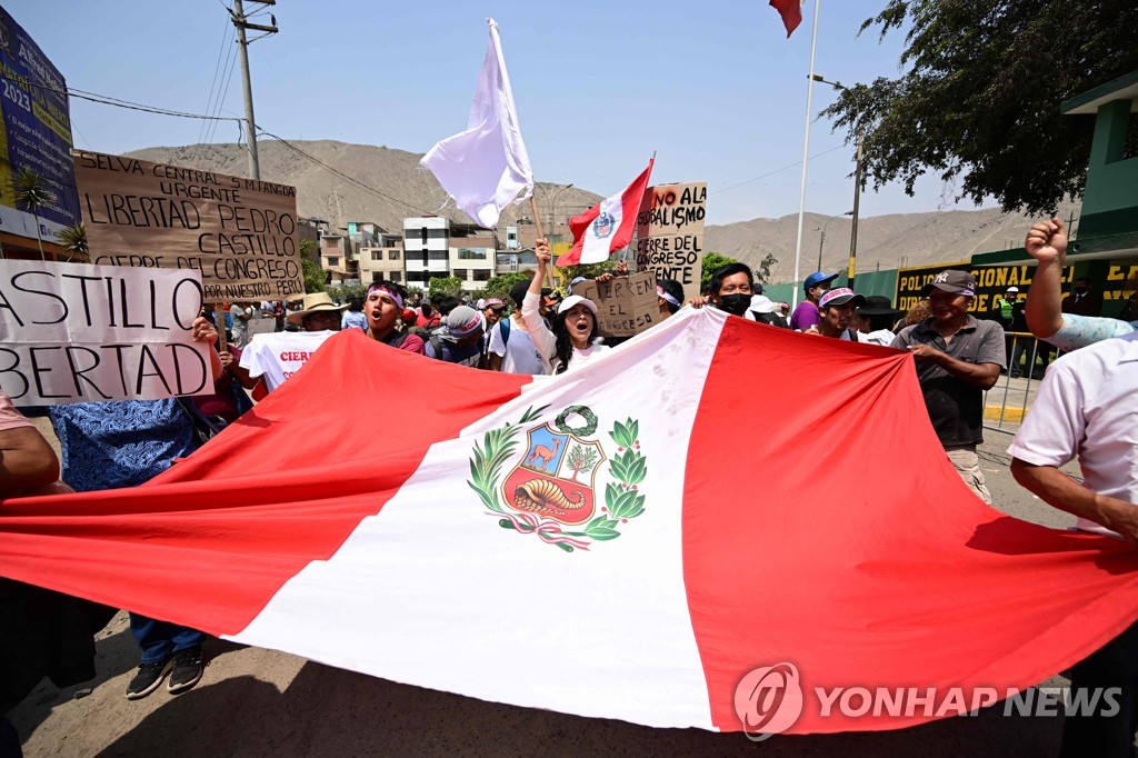 페루 국기 들고 시위하는 카스티요 지지자