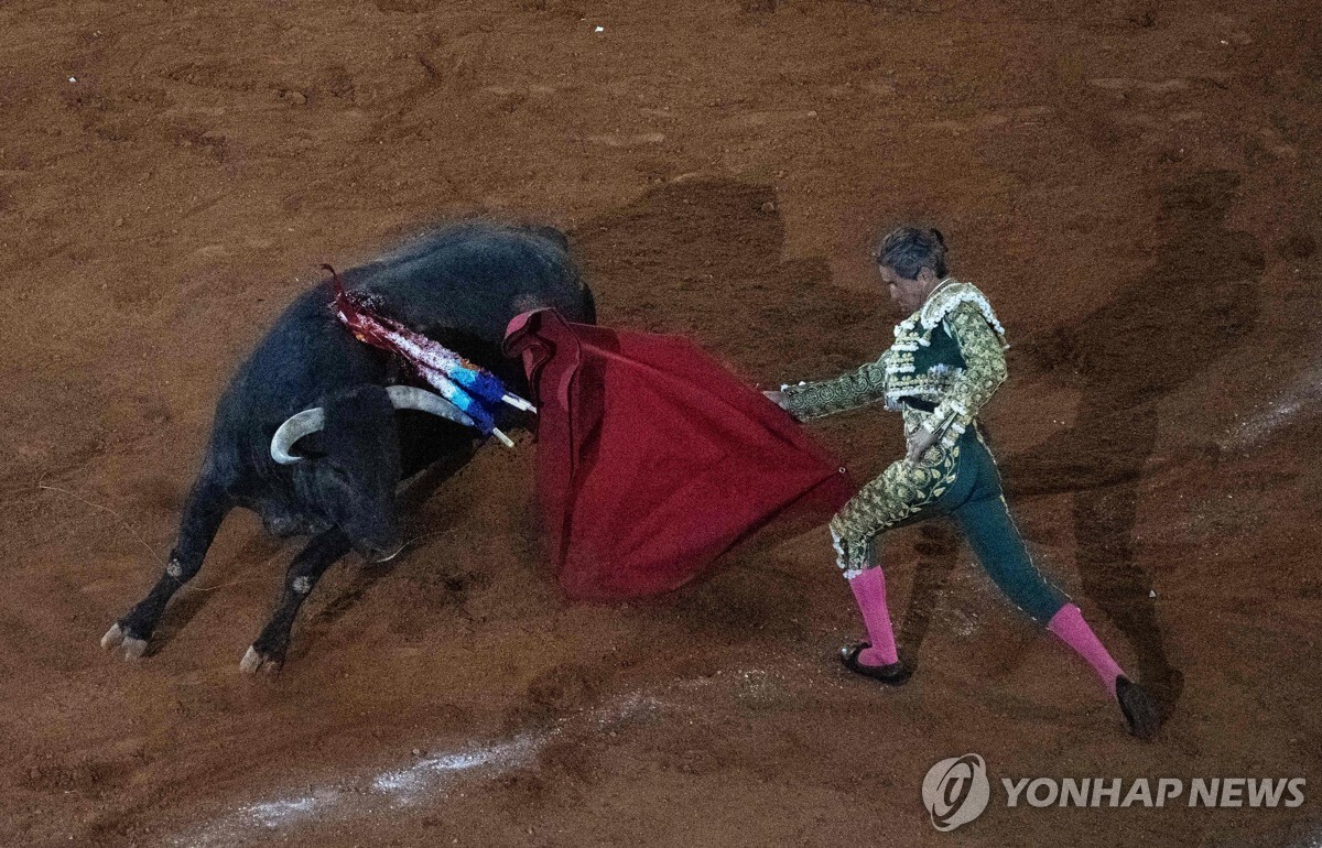 1월 28일(현지시간) 멕시코시티서 재개된 투우