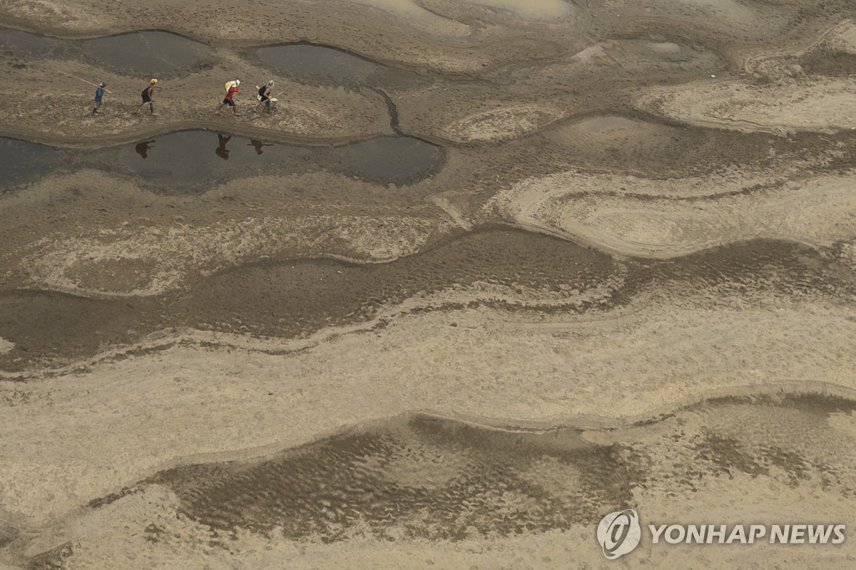 바닥 드러낸 브라질 마데이라 강