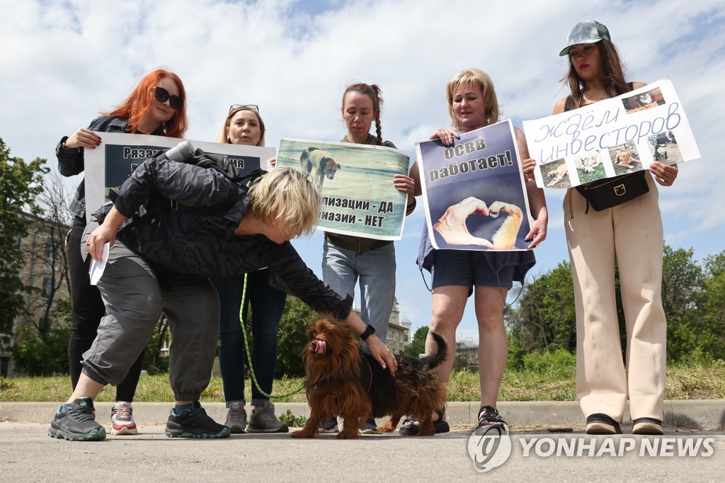 Campaign against proposed stray animal euthanasia amendment in Ryazan, Russia