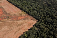 브라질 세하두 열대초원 벌채 파괴 심각…