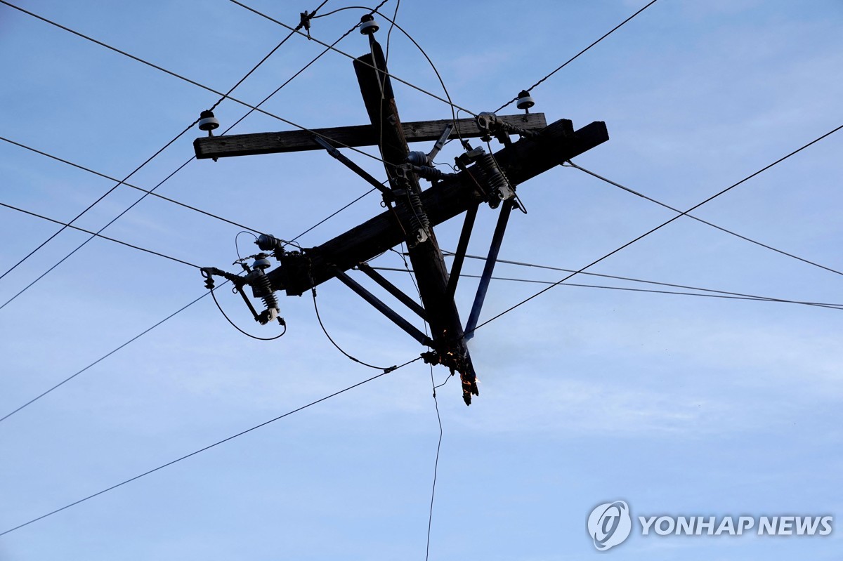 텍사스주 산불로 타버린 전신주