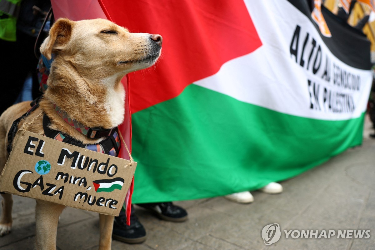 '親팔' 국제그룹 "이스라엘행 군수품 제공 금지할 것"