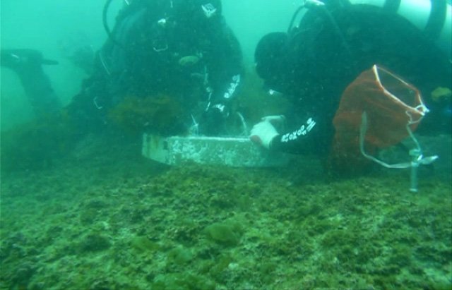 Á¦ÁÖ¹Ù´Ù °¹³ìÀ½¿¡ ȲÆóÈ