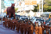 "외적 침입 때 마다 혁혁한 공을 세운 제주말 아시나요?"