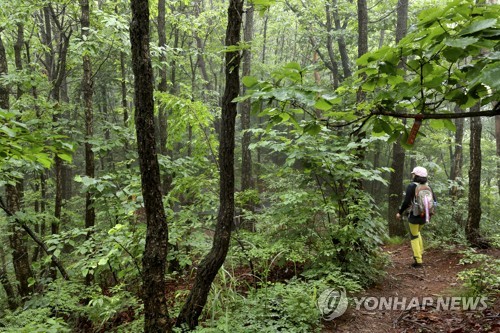 광양 백운산, 전남 최초로 '산림복지지구' 지정