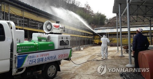 주말에도 구제역 소독 '구슬땀'…농장 단위 방역 당부