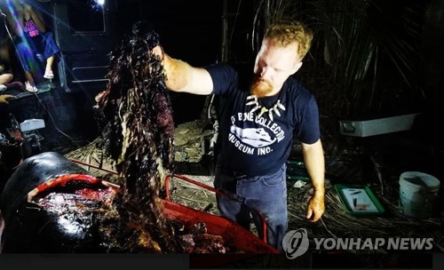 필리핀 해안서 죽은 고래 뱃속에 또 폐비닐…500ｇ의 고통